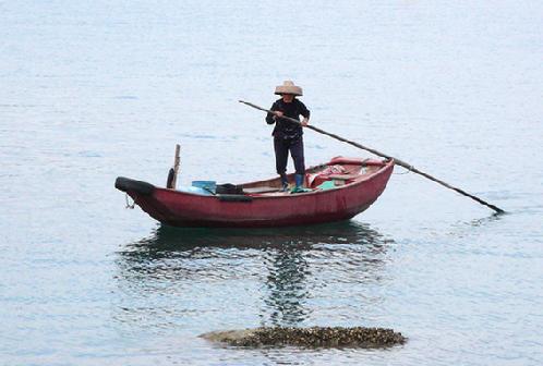 Photography tours Tap Mun Chau